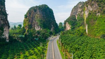 Can sustainable palm oil be certified at state or even national level?