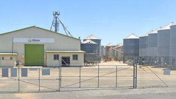 Saudi company SALIC to buyout Olam’s stake in Olam Agri 