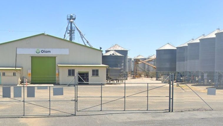 Saudi company SALIC to buyout Olam’s stake in Olam Agri 