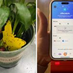 32 Magical Products That Work So Fast You’ll Feel Like A Witch