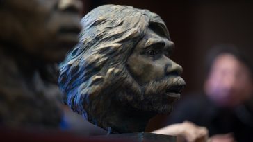 One Million Years Later, Yunxian Man Finally Gets a Glow Up