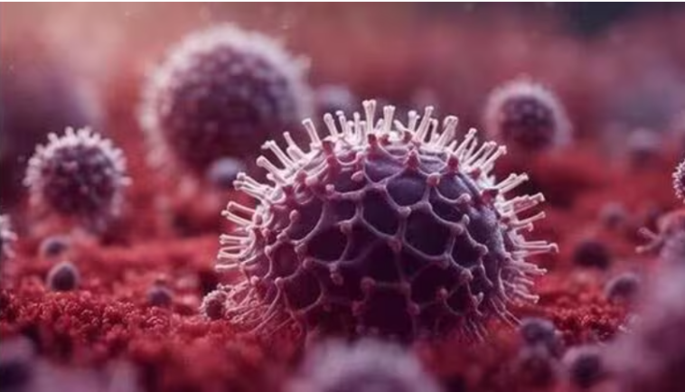 China faces surge in new strand of infectious respiratory virus amid growing public concern