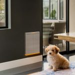 Oh yeah, that’s a smart dog door with custom RGB lighting