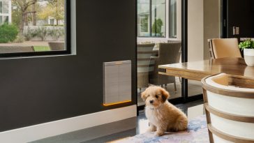 Oh yeah, that’s a smart dog door with custom RGB lighting