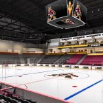Hockey in Arizona: a committee is established to bring a team back to the desert