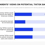 US Parents Believe a TikTok Ban Will Increase Safety for Kids
