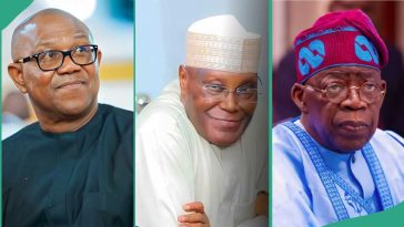 Atiku reacts as Peter Obi alleges threat to life, fingers Tinubu, APC