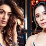 Hansika Motwani reacts to domestic violence allegations by sister-in-law Mmuskan Nancy James