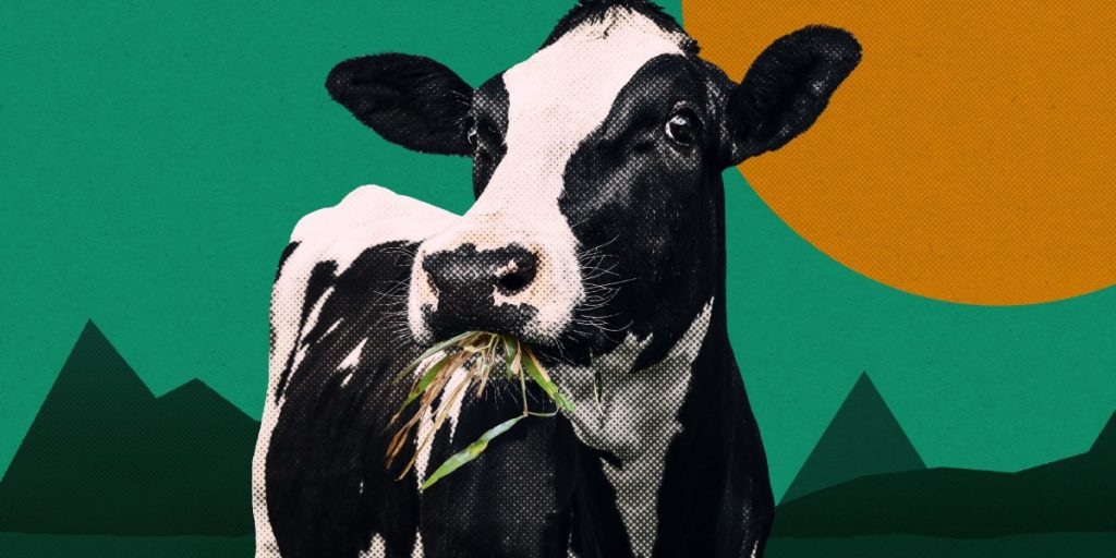 2025 is a critical year for climate tech