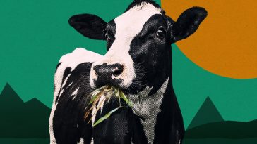 2025 is a critical year for climate tech