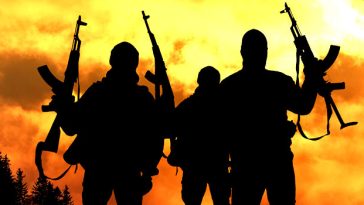 N636bn agric vote threatened as bandits continue attacks on farmers