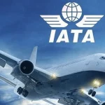 International passenger demand for African airlines grows 12.4% in November 2024 – IATA 