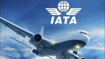 International passenger demand for African airlines grows 12.4% in November 2024 – IATA 