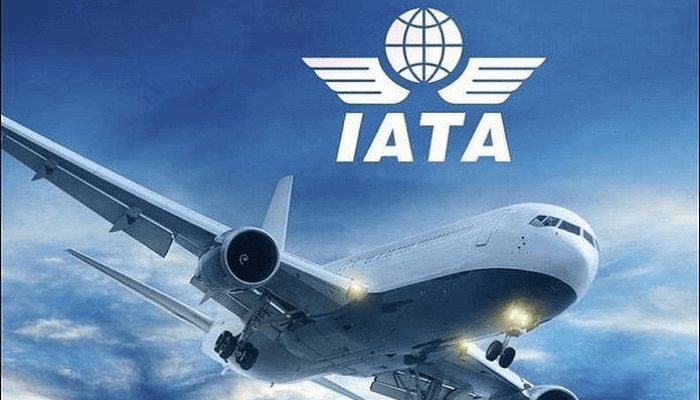 International passenger demand for African airlines grows 12.4% in November 2024 – IATA 