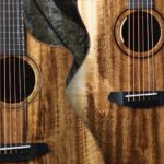 “Will shape guitar history”: Breedlove turns to an unsung tonewood for two new special edition acoustics that promise “unparalleled tonal qualities”