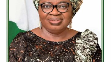 Why FG’s 2022 financial statement is delayed – AGF