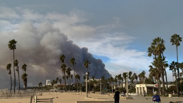 Southern California Wildfires: 10 Angelenos Describe Life Amid the Historic Fires