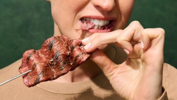 Aleph Farms to tap Thai Union expertise for cultivated steak localisation post-regulatory approval