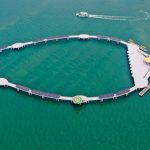 The Download: China’s marine ranches, and fast-learning robots