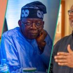 2027: Top political expert mentions 2 ‘strong’ politicians who must form alliance to defeat Tinubu