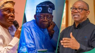 2027: Top political expert mentions 2 ‘strong’ politicians who must form alliance to defeat Tinubu