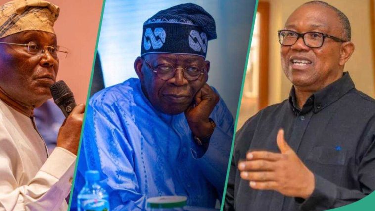 2027: Top political expert mentions 2 ‘strong’ politicians who must form alliance to defeat Tinubu