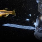 The Fish That Spun, Flipped, and Laid Eggs Aboard China’s Space Station