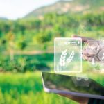 供应成功：2024 年亚太地区十大最受欢迎的食品饮料供应商故事