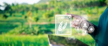 供应成功：2024 年亚太地区十大最受欢迎的食品饮料供应商故事