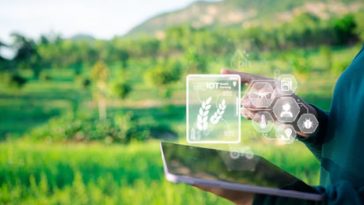 供应成功：2024 年亚太地区十大最受欢迎的食品饮料供应商故事