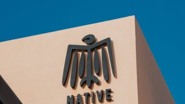 Sip, Revitalise, and Savour: Native Café Wraps Up January with Free Wellness Activities