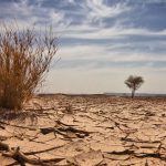 Nigeria received $4.928 billion for 828 climate-related projects in 6 years – Report 