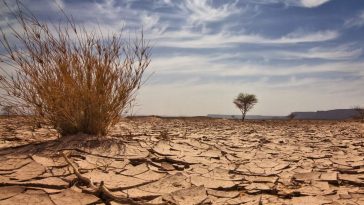 Nigeria received $4.928 billion for 828 climate-related projects in 6 years – Report 