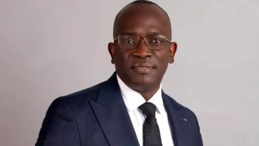 Expatriates working illegally in Nigeria should be deported or regularized – NECA 