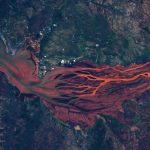Astronaut’s stunning Earth photo looks like ‘arteries in your retina’