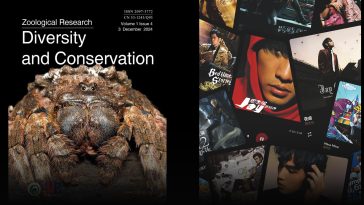 Jay Chou’s Hits Are Now Crawling Into Science — As Spider Names