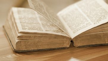 Quotes That Summarise an Entire Story