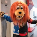 Sweater Ottawa / Quebec: Senators fans are angry