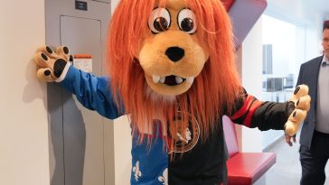 Sweater Ottawa / Quebec: Senators fans are angry