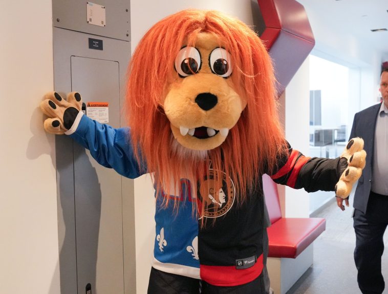 Sweater Ottawa / Quebec: Senators fans are angry