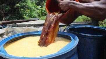 ARGPON begins regulation of local gin production