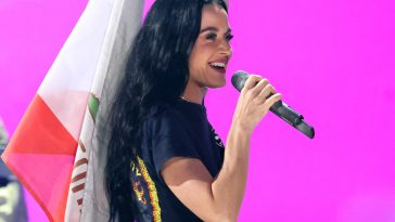 FireAid Benefit Concert: Lady Gaga’s New Song and Pink’s Message to Trump Among Most Memorable Moments