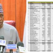 Borno Govt House To Spend N2.7Million Daily On Fuelling Generators, N2Billion On Generator Purchase In 2025