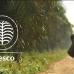 Presco PLC reports N128 billion full-year pre-tax profit as revenue soars 93%  