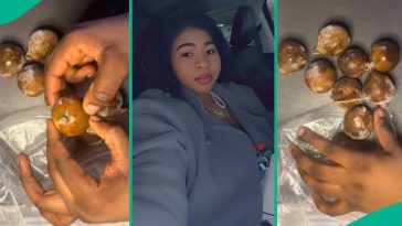 See what lady found after keeping “agbalumo” in freezer for over a year, many react