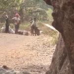 BREAKING: Ebonyi Residents Flee Community As Death Toll From Herdsmen Attack Rises To 16