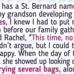 I Banned My DIL’s Dog From Our Family Gathering