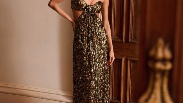 BCBG Max Azria Fall 2025 Ready-to-Wear