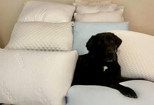 Best Pillows for Back Sleepers in 2025