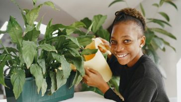 Struggling to Keep Your Plants Alive? These Tips From a Plant Mum Will Keep Them Healthy